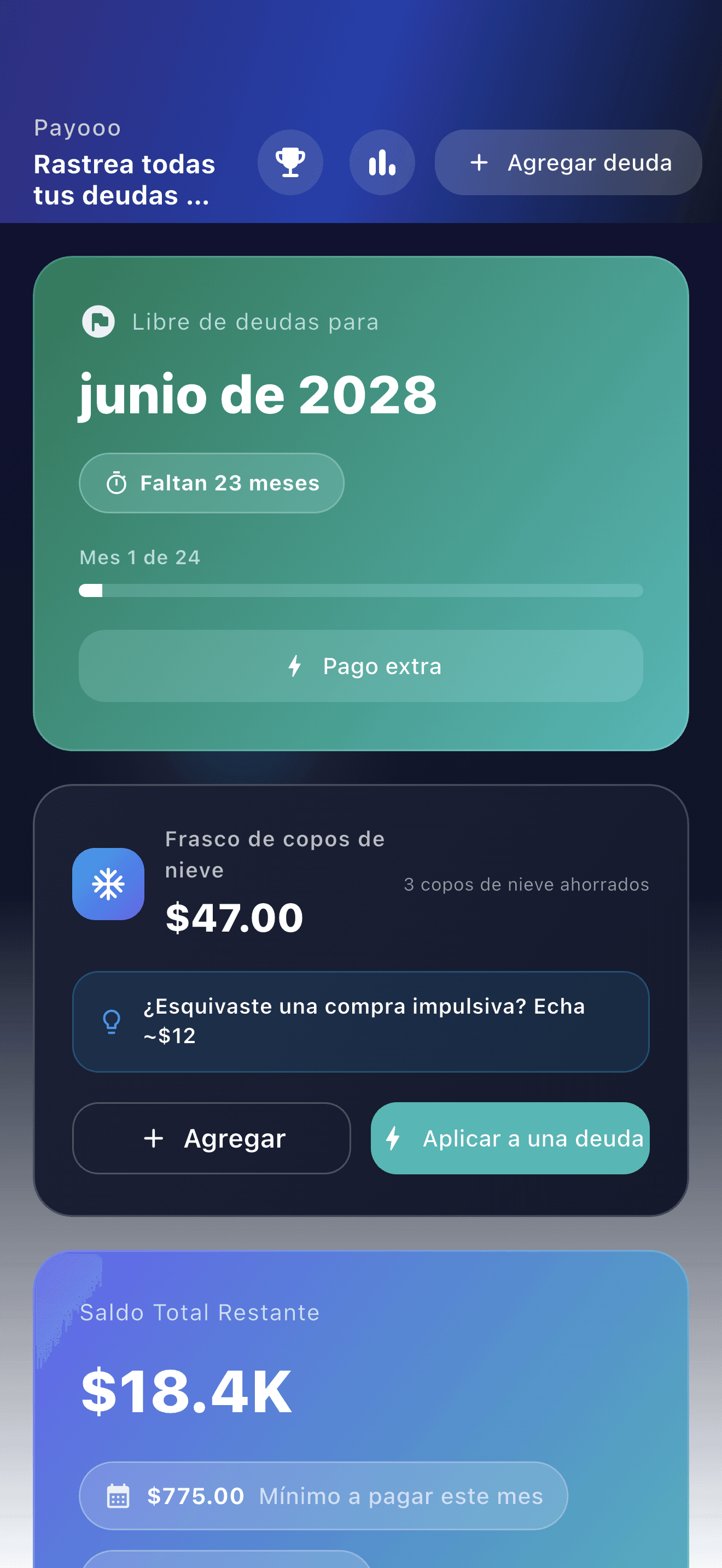 Vista general de Payooo usada como ejemplo del producto de su creador (1)