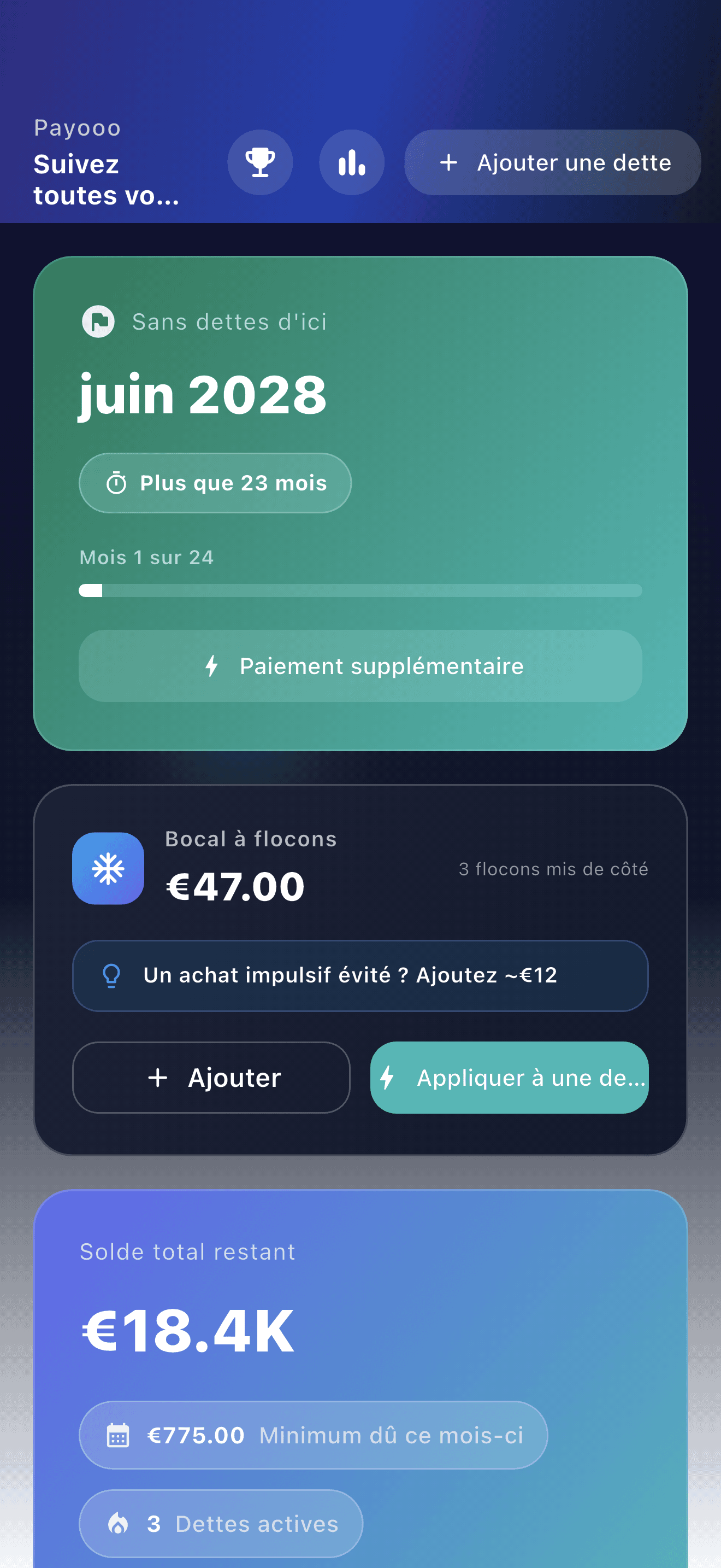 Vue d’ensemble de Payooo pour la planification des dettes (1)