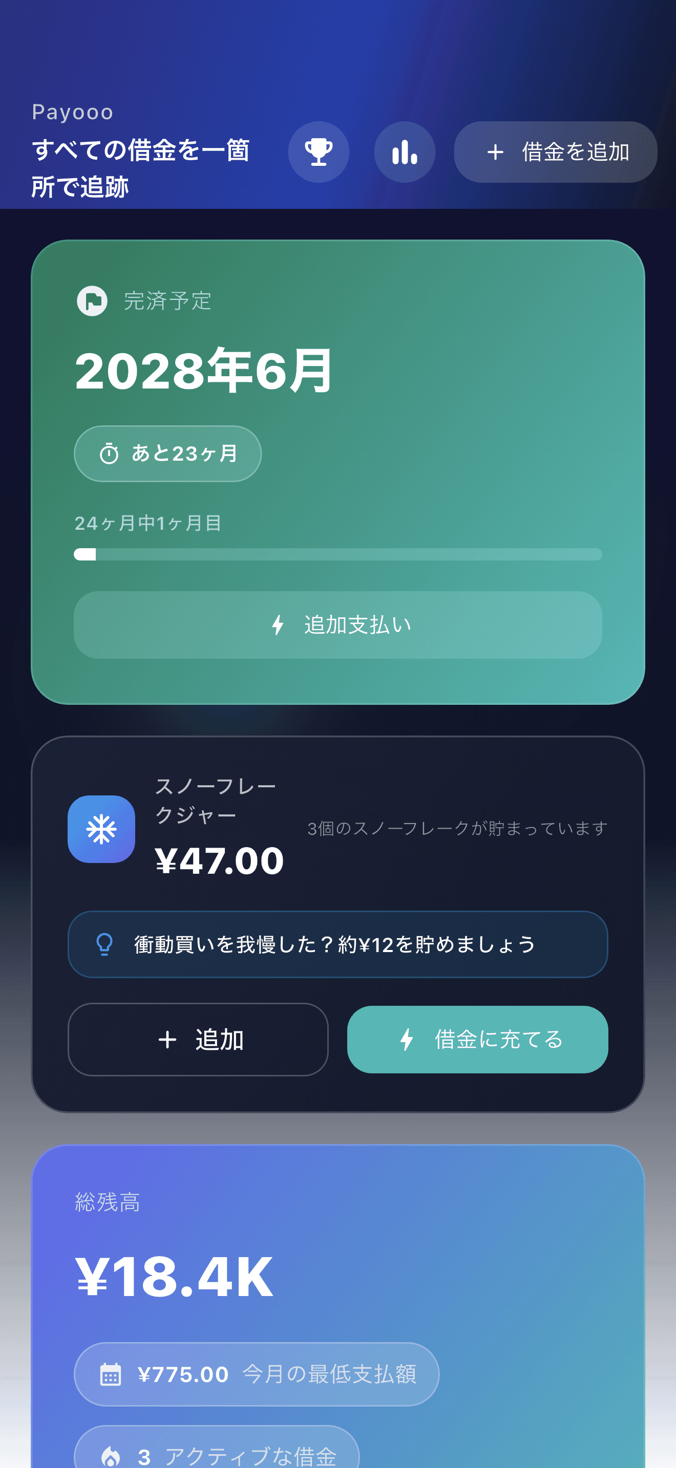 Payoooの返済計画の概要 (1)