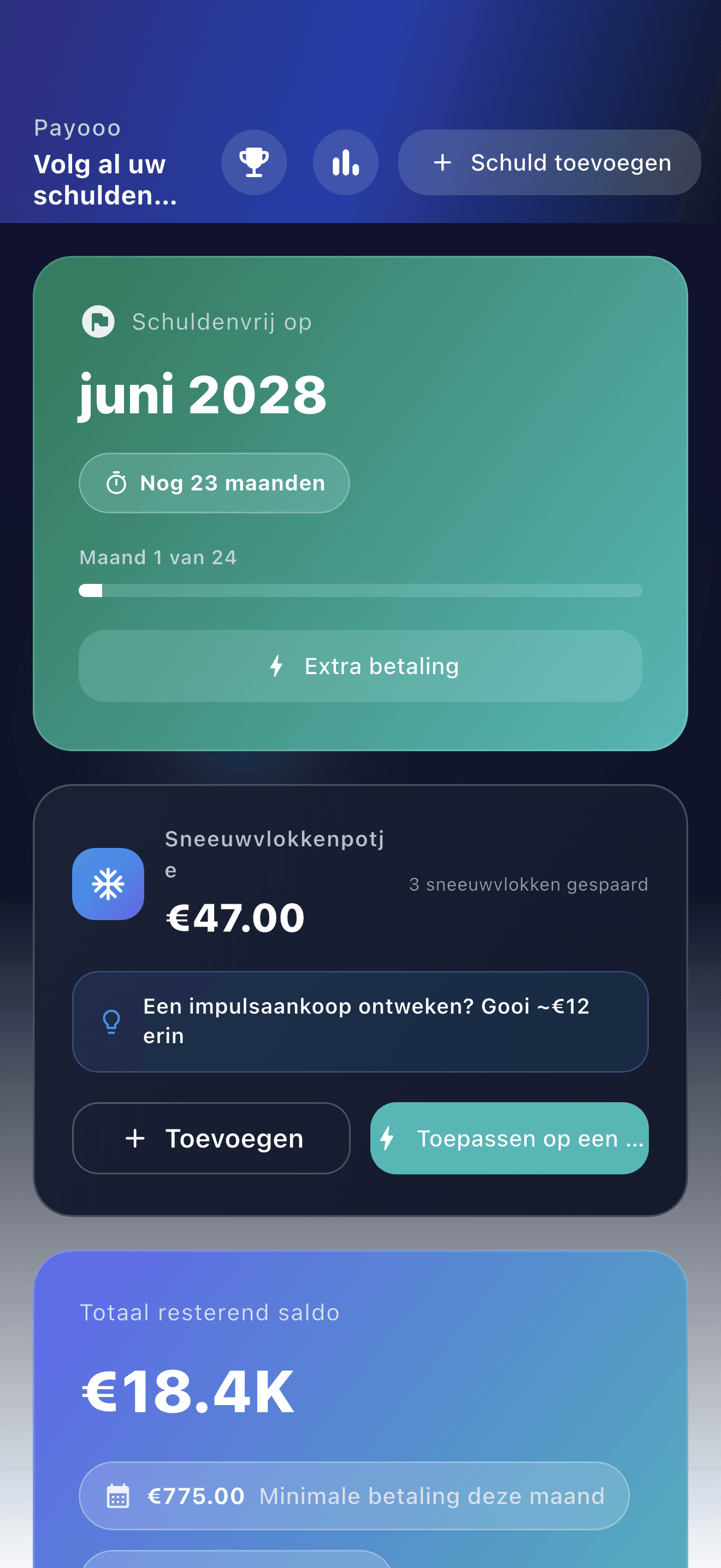 Overzicht van de schuldenplanner Payooo (1)