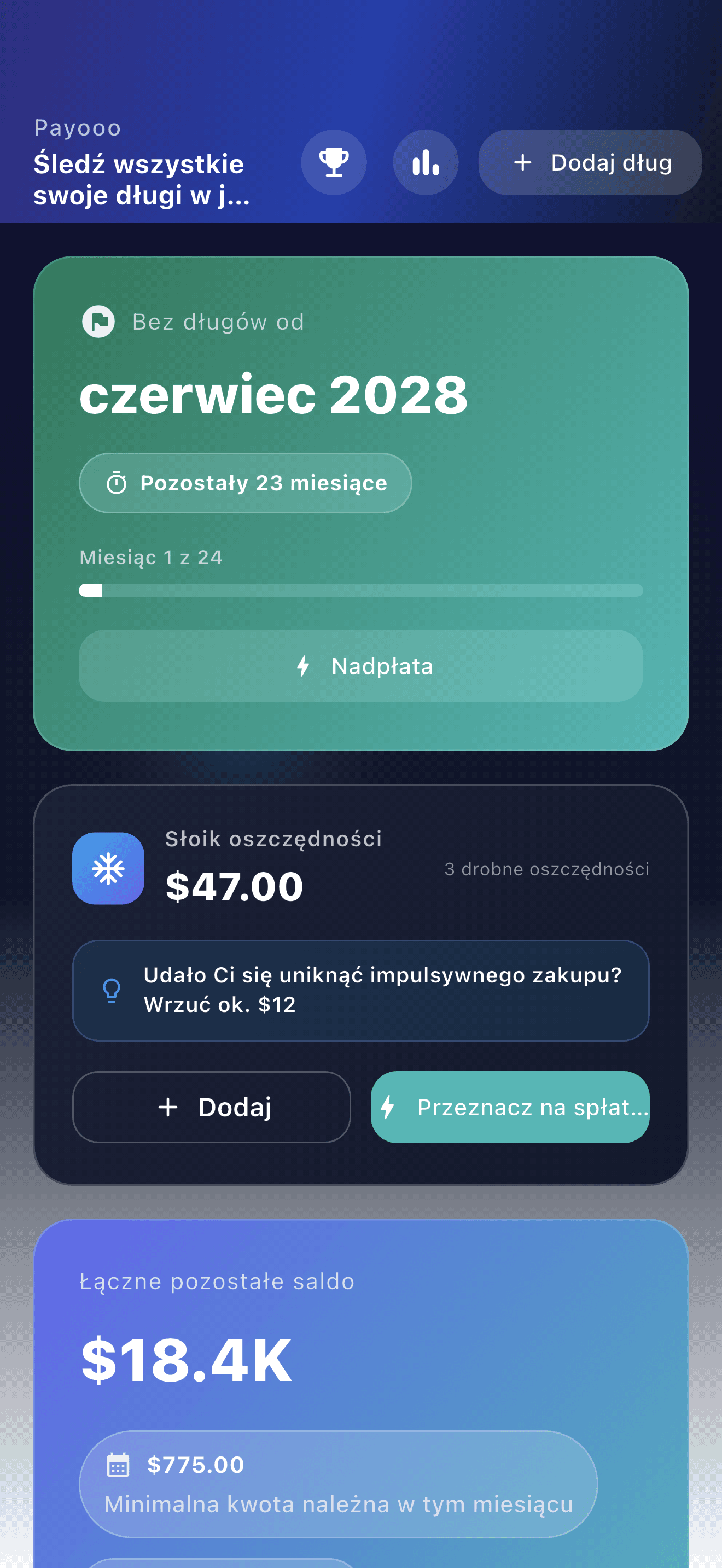 Przegląd aplikacji Payooo do planowania zadłużenia (1)