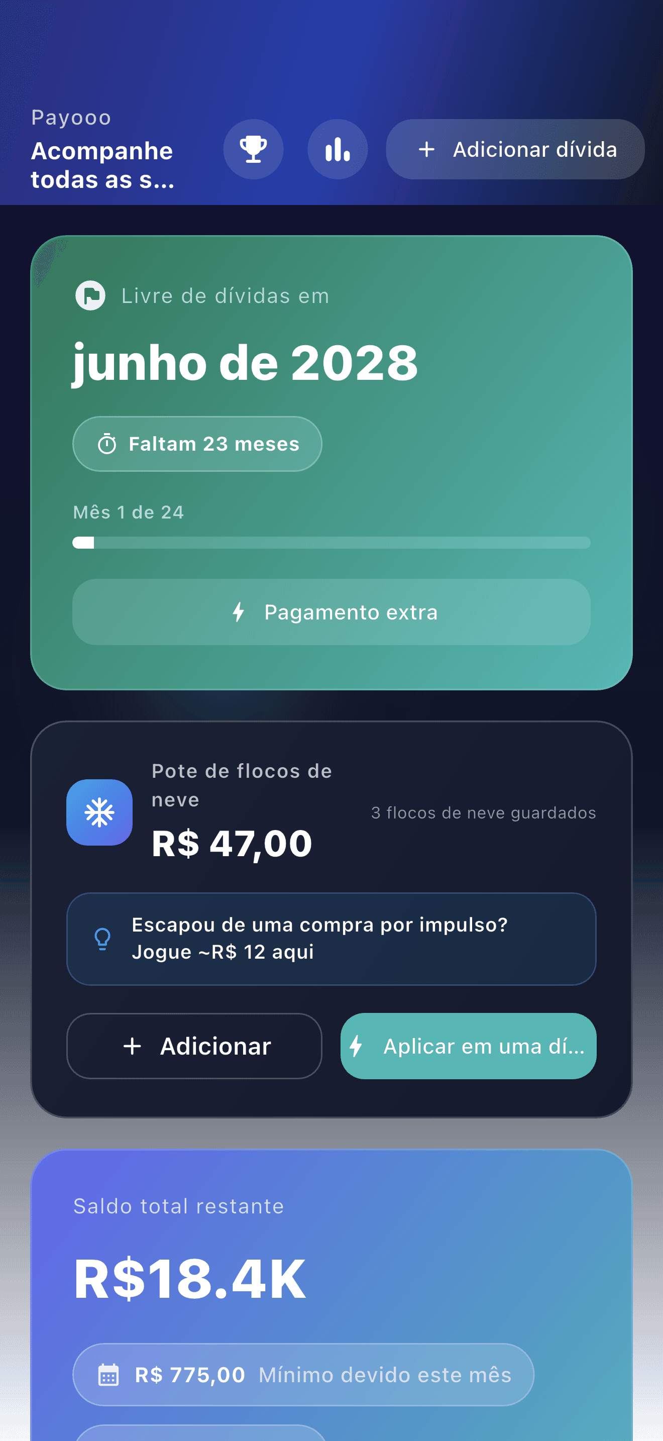 Visão geral do planejamento de dívidas no Payooo (1)