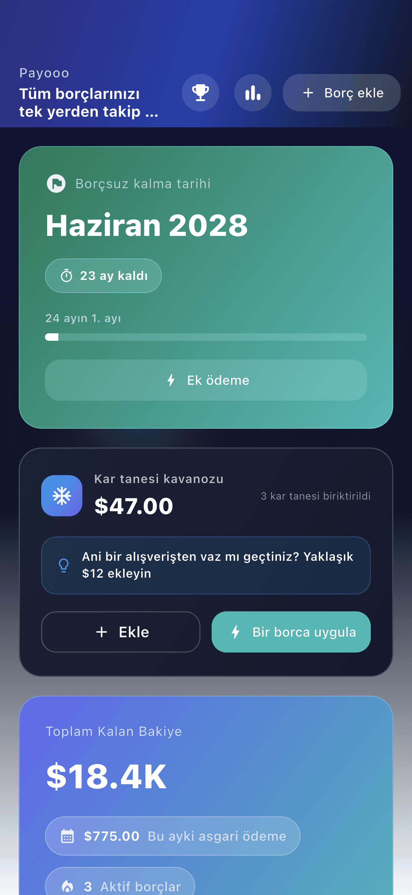 Payooo borç planlama uygulaması genel görünümü (1)